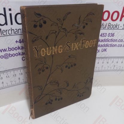 Picture of Young Six-Foot, and What Became of Him