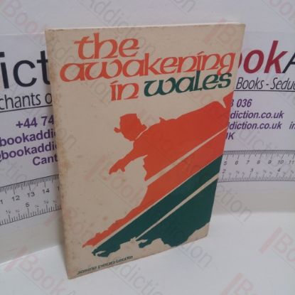 Picture of The Awakening in Wales (and Some of the Hidden Springs)