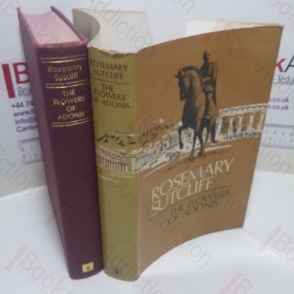 Picture of The Flowers of Adonis