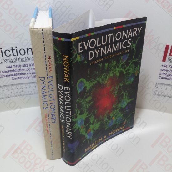 Picture of Evolutionary Dynamics: Exploring the Equations of Life