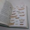 Picture of A Field Guide to the Insects of Britain and Northern Europe (The International series)