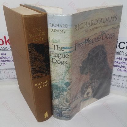 Picture of The Plague Dogs