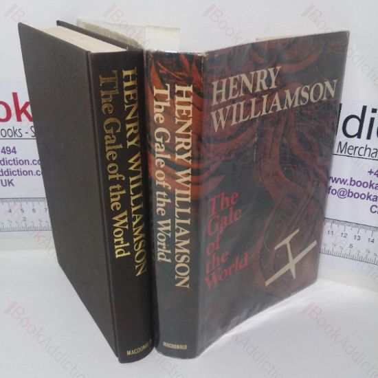 Picture of The Gale of the World