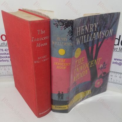 Picture of The Innocent Moon (A Chronicle of Ancient Sunlight sequence)