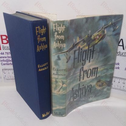 Picture of Flight from Ashiya