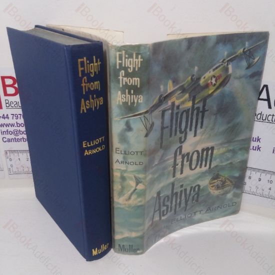 Picture of Flight from Ashiya