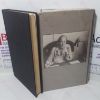 Picture of Roald Dahl's Book of Ghost Stories