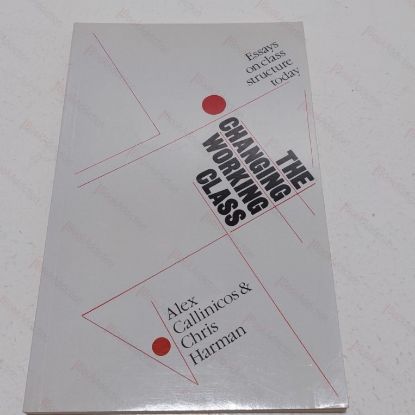 Picture of The Changing Working Class : Essays on Class Structure Today