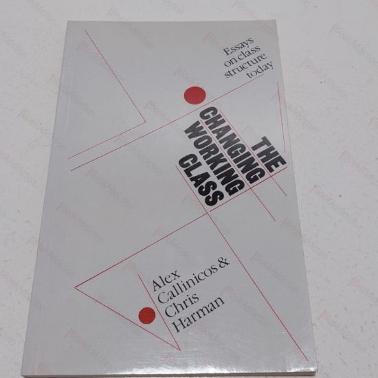 Picture of The Changing Working Class : Essays on Class Structure Today