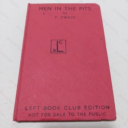 Picture of The Scope of Government : Beliefs in Government