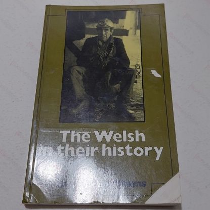 Picture of The Welsh in Their History