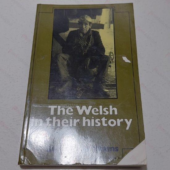 Picture of The Welsh in Their History