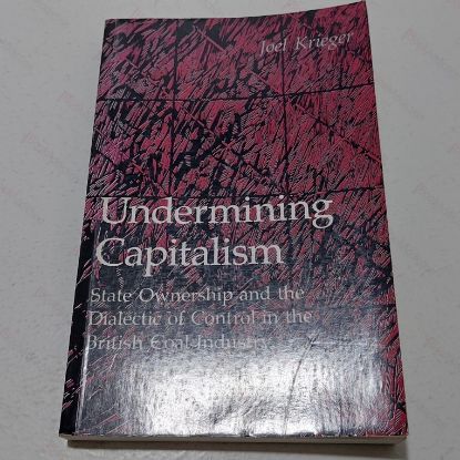Picture of Undermining Capitalism : State Ownership and the Dialectic of Control in the British Coal Industry