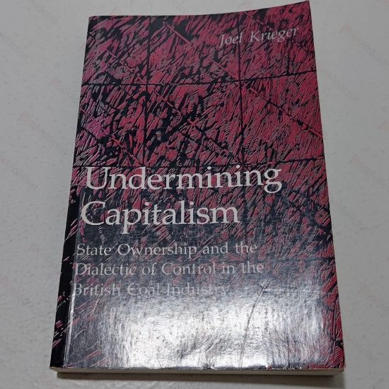 Picture of Undermining Capitalism : State Ownership and the Dialectic of Control in the British Coal Industry