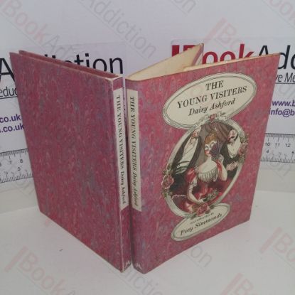 Picture of The Young Visitors, Or Mr Salteena's Plan