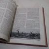 Picture of The War Illustrated Album Deluxe: The Story of the Great European War Told by Camera, Pen and Pencil (Volume VII: the Autumn Campaign of 1916)