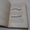 Picture of Peripatus, Myriapods, Insects (The Cambridge Natural History series, Volume V)