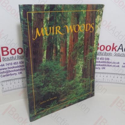 Picture of Muir Woods: The Ancient Redwood Forest Near San Francisco