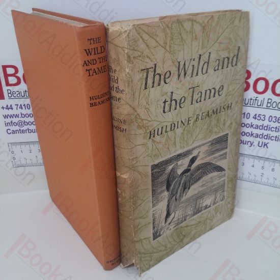 Picture of The Wild and the Tame