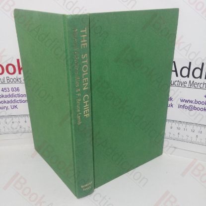 Picture of The Stolen Chief: Adventures of a Captive in the Amazon Jungle