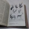 Picture of Encyclopaedia of Southern Africa