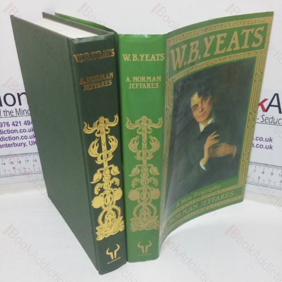 Picture of W B Yeats: A New Biography