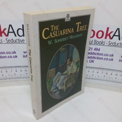 Picture of The Casuarina Tree