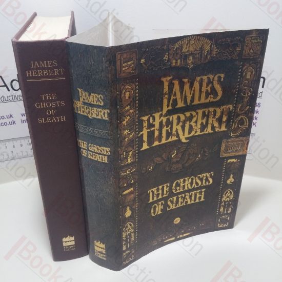 Picture of Ghosts Of Sleath