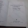 Picture of Troy, Fall of Kings (Trojan War Trilogy, Book 3)