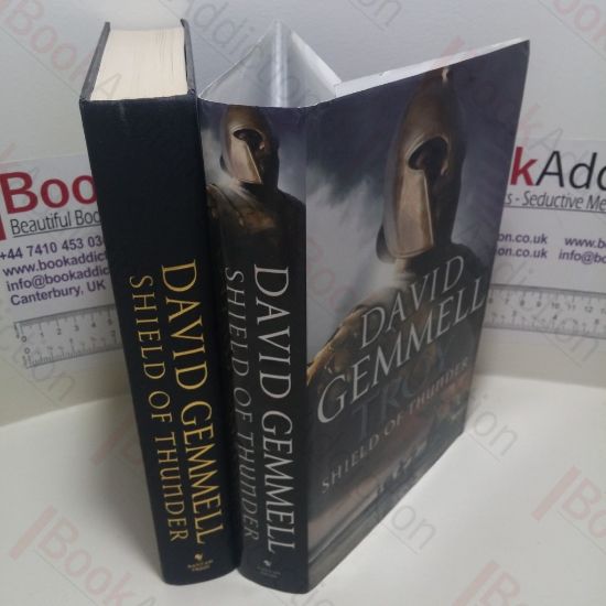 Picture of Troy, Shield of Thunder (Trojan War Trilogy, Book 2)