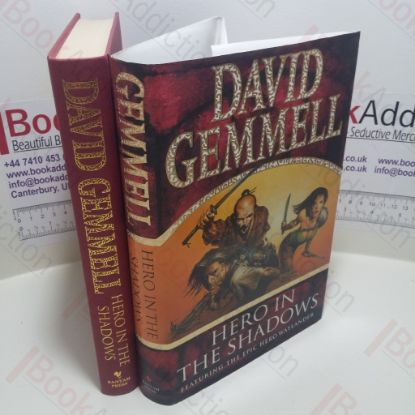 Picture of Hero in the Shadows (Waylander)