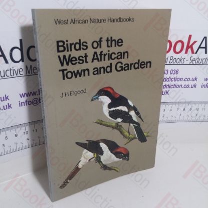 Picture of Birds of the West African Town and Garden