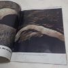 Picture of Life: The Moon Close Up - Apollo 10's Photographs in Colour (Vol. 26, No. 12, June 23, 1969)