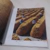 Picture of Along the Silk Road: A Collection of Photographs by Dou Shi