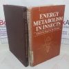Picture of Energy Metabolism in Insects