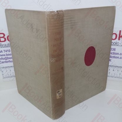 Picture of The New Belief in the Common Man