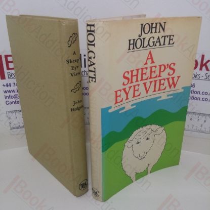 Picture of A Sheep's Eye View