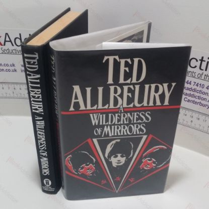 Picture of A Wilderness of Mirrors