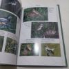 Picture of Birds of Russia (Collins Guides) (Signed)