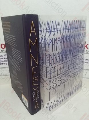 Picture of Amnesia