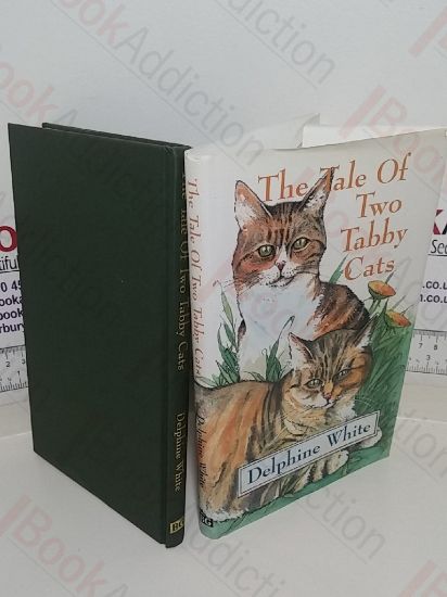 Picture of The Tale of Two Tabby Cats