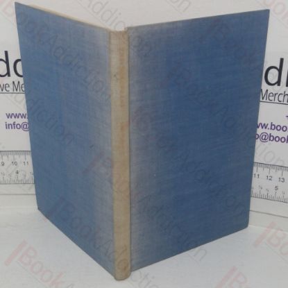 Picture of The Europeans: Fourteen Tales of a Continent