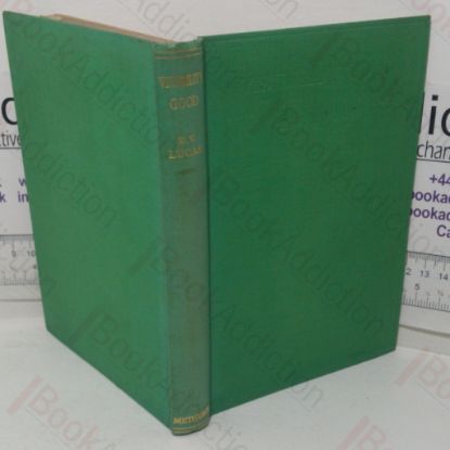 Picture of Visibility Good: Essays And Excursions