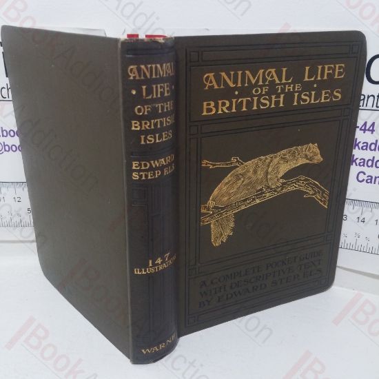 Picture of Animal Life of the British Isles: A Guide to the Mammals, Reptiles and Batrachians of Wayside and Woodland