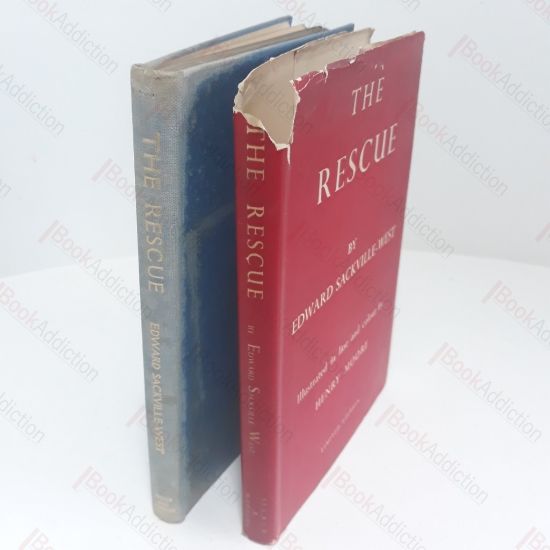 Picture of The Rescue