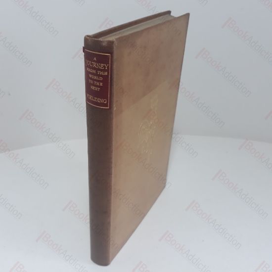 Picture of A Journey from This World to the Next