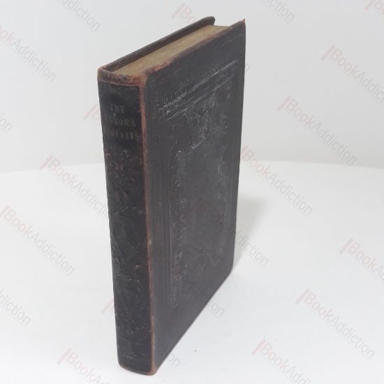 Picture of The Aurora Borealis, A Literary Annual