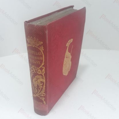 Picture of Popular Greenhouse Botany, Containing a Familiar and Technical Description of a Selection of the Exotic Plants Introduced into the Greenhouse