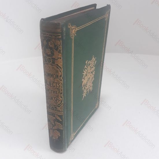 Picture of Common Objects of the Country