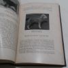 Picture of The Book of Show Dogs